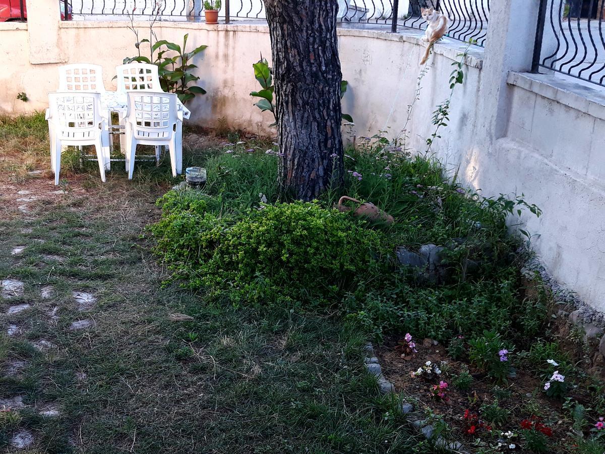 Cerit Pansiyon İmroz Εξωτερικό φωτογραφία